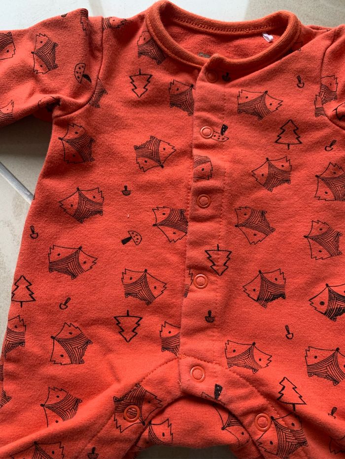 Barboteuse renard - photo numéro 2