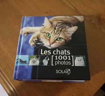 Les chats 1001 photos