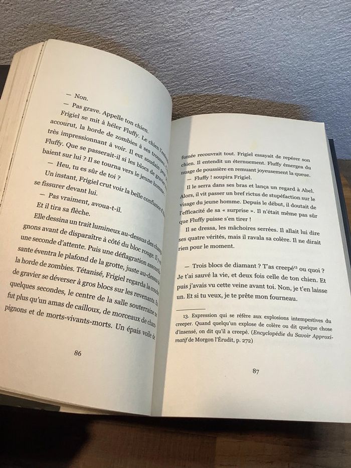 Livre Frigiel et Fluffy - photo numéro 5