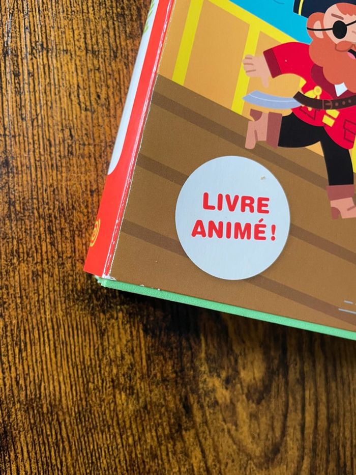Livre pirates - photo numéro 2