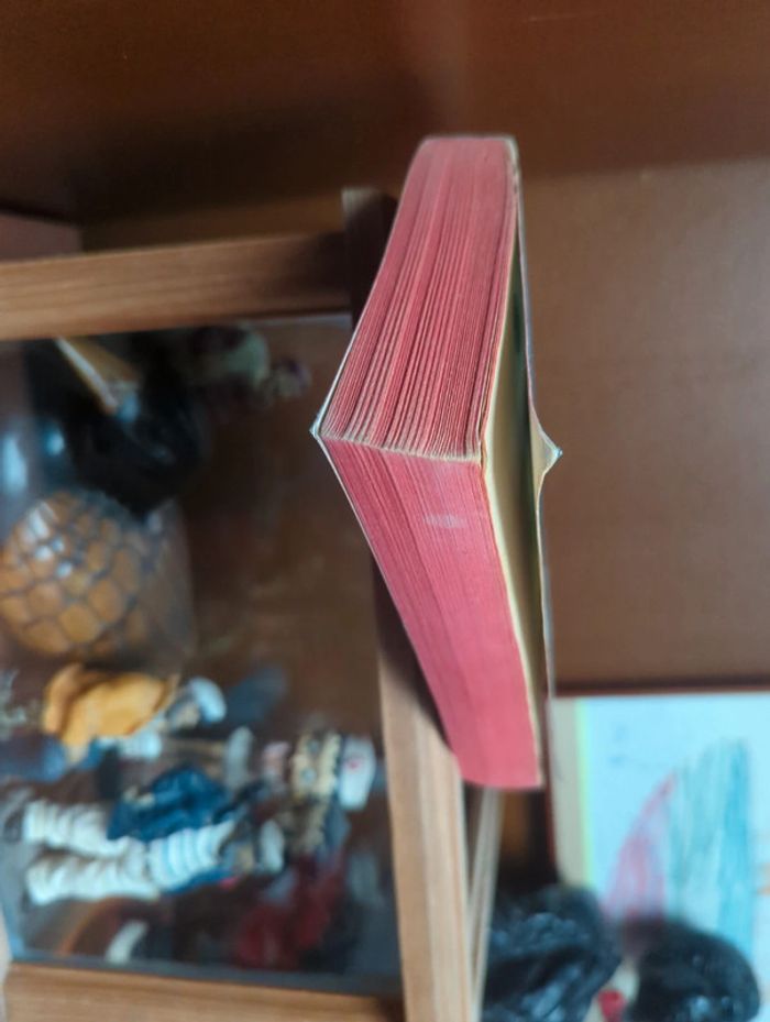 La forteresse noire - photo numéro 5