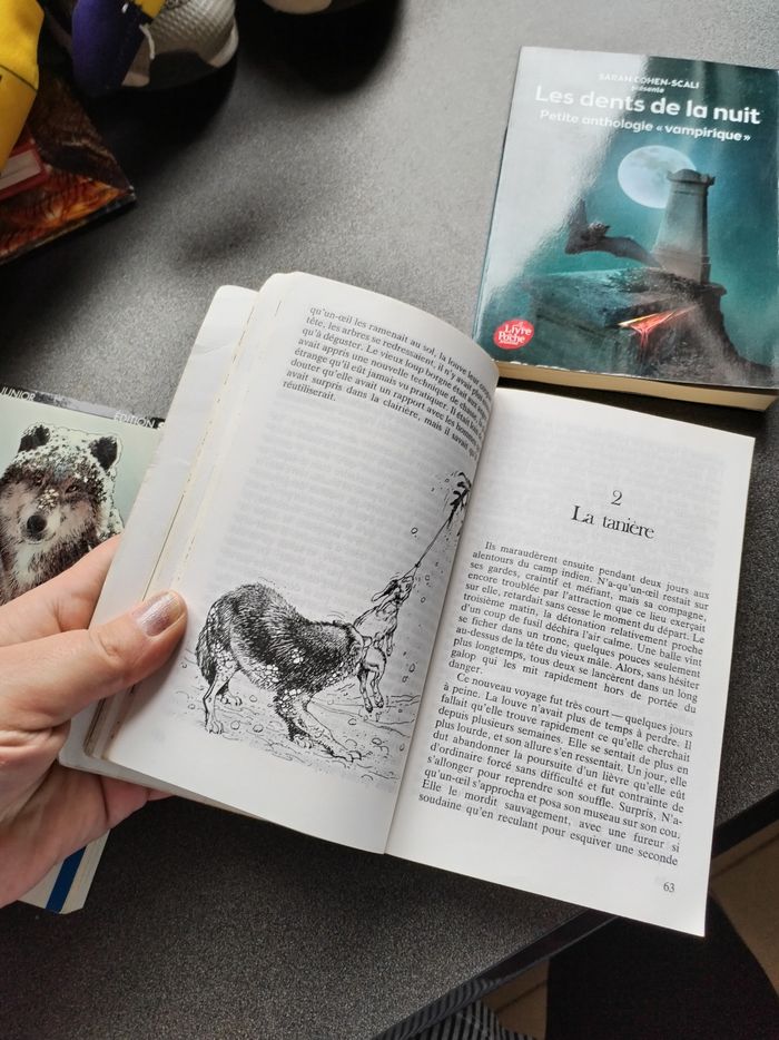 Lot livres ado collège - photo numéro 7