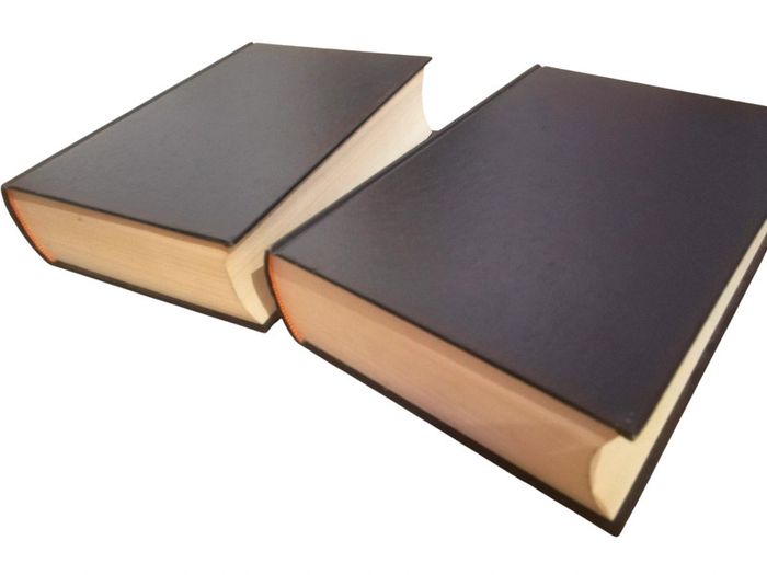Dictionnaire unilingue espagnol en deux volumes - photo numéro 5