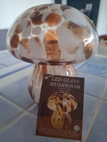 Champignon claire LED