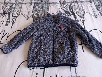Vends Gilet Fille ou Garçon