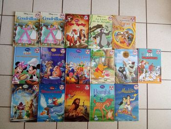 Livre mickey club du livre enfant, Disney,  roi  lion, cendrillon, , Aristochats, rox rouki, bianca, 101 dalmatiens , volt, livre jungle, winnie