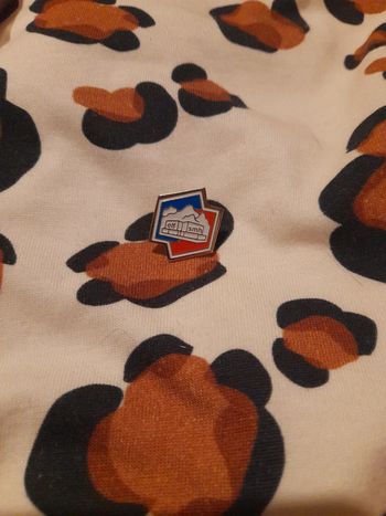 Pins vintage elf rhones alpes