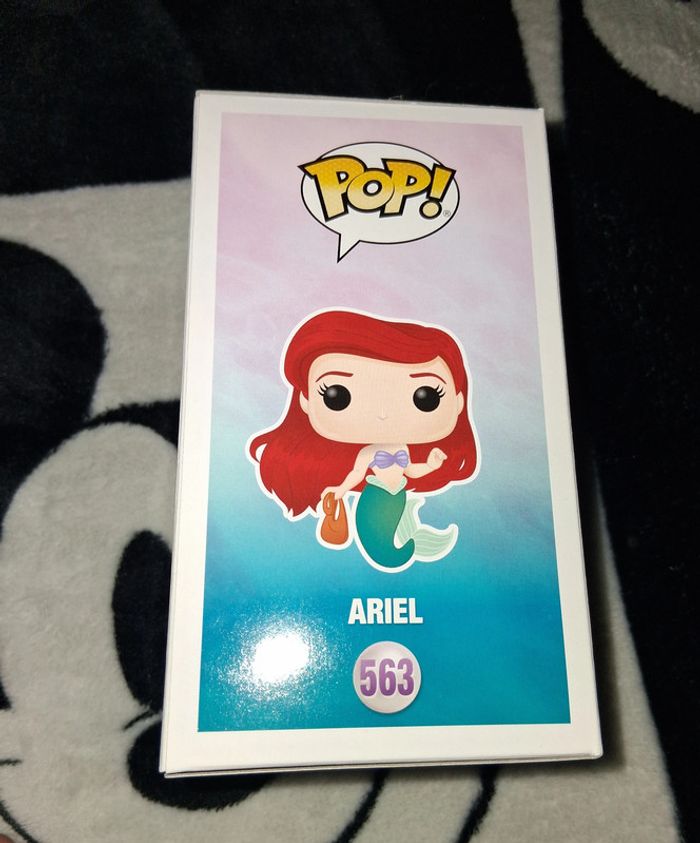 Pop Ariel - photo numéro 4