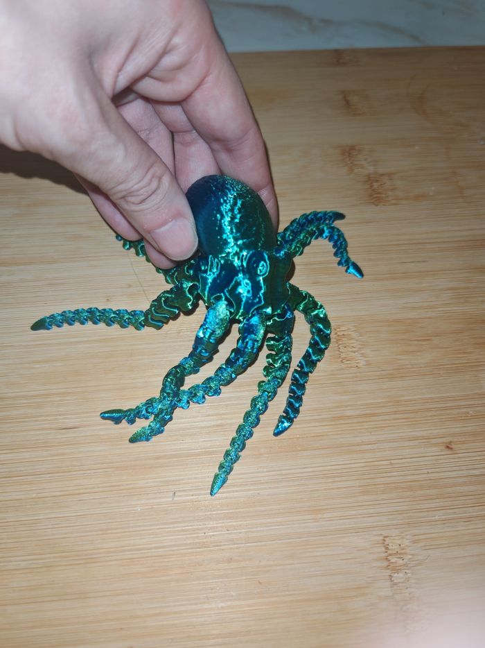 Pieuvre - photo numéro 2