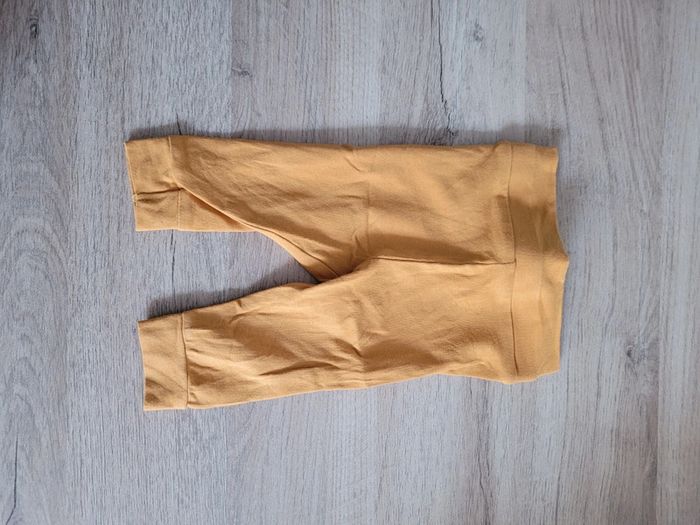 Ensemble vert baudet - photo numéro 2