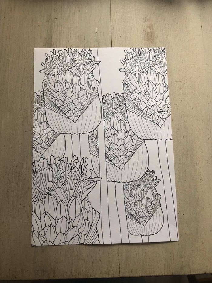 Lot de 10 coloriages neufs - photo numéro 2
