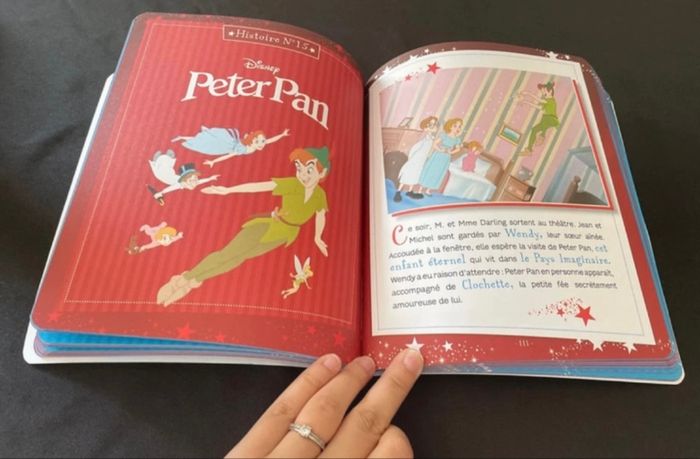 Livre Disney - photo numéro 2