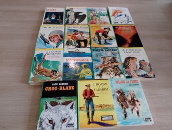 Lot de 15, bibliothèque verte (Jack London ect.(11)