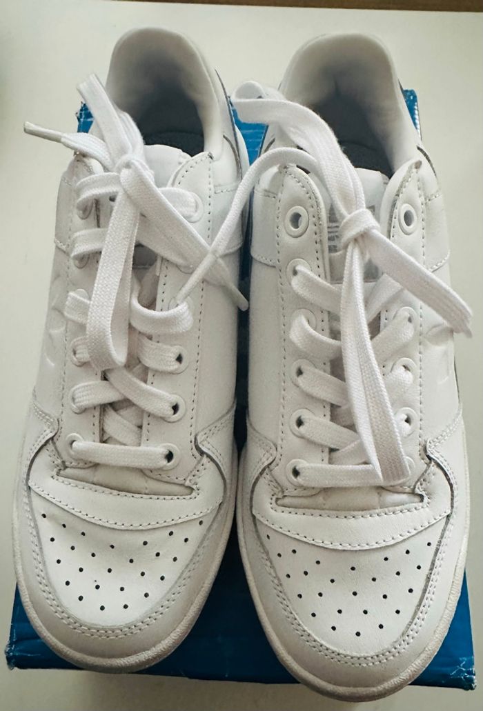 Adidas Fórum Bold W neuves