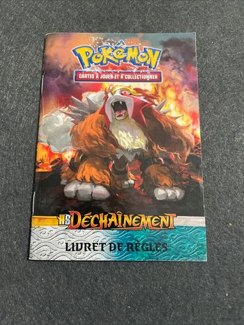 Pokémon Livret De Règles / Liste Des Cartes - HS Déchaînement FR