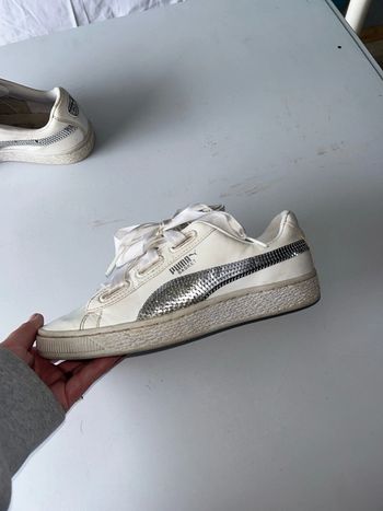 basket puma