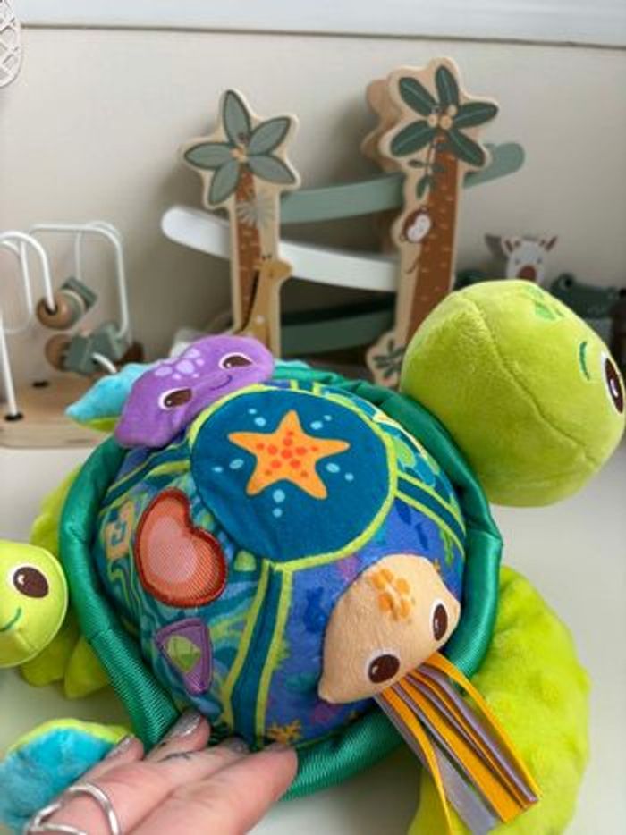 Juju la tortue - photo numéro 2