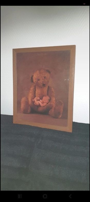 Tableau Cadre Décoration murale by Anne Geddes excellent état