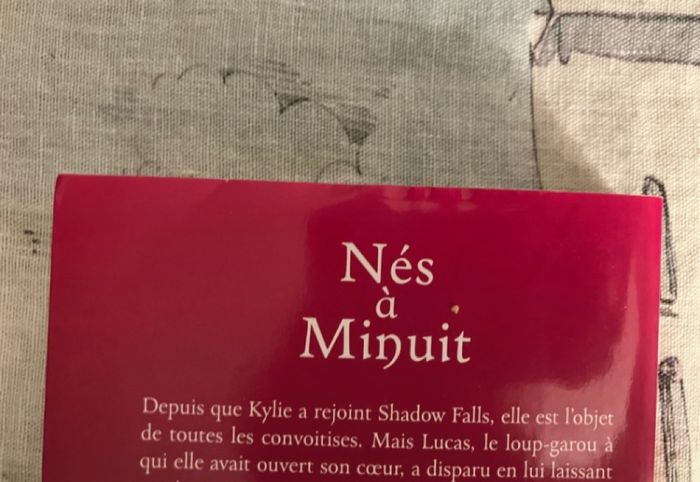 Nés à minuit : soupçons - photo numéro 7