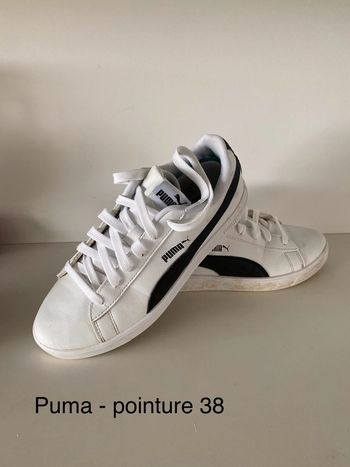 Puma 38