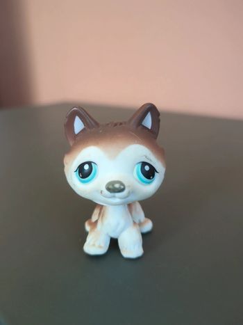 littlest petshop chien