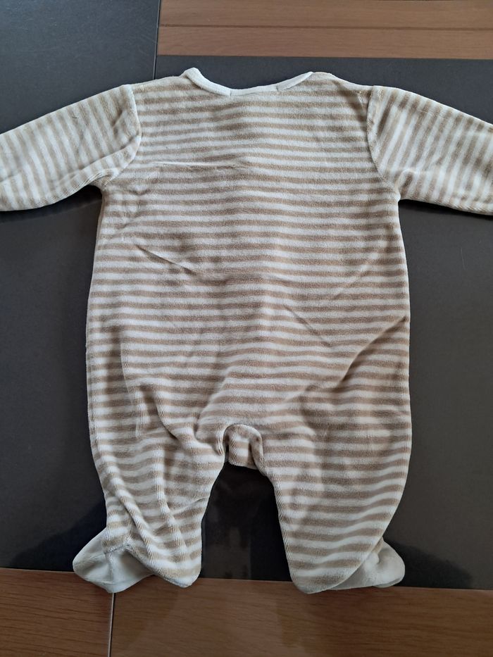 Grenouillére - photo numéro 3