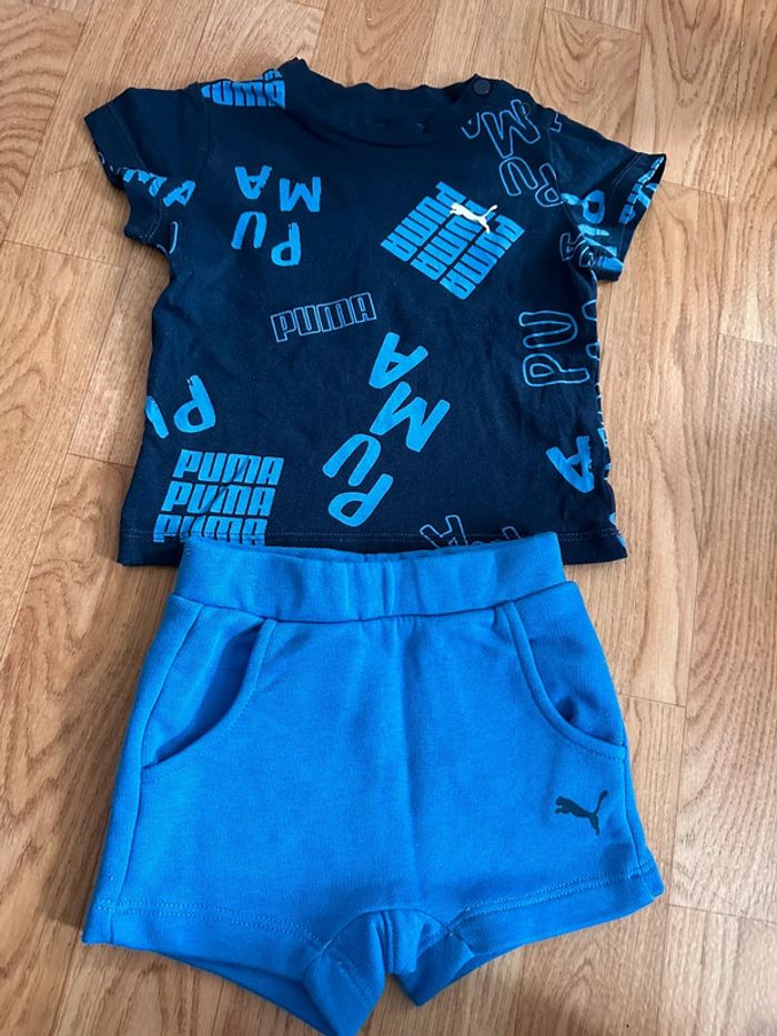 Ensemble puma