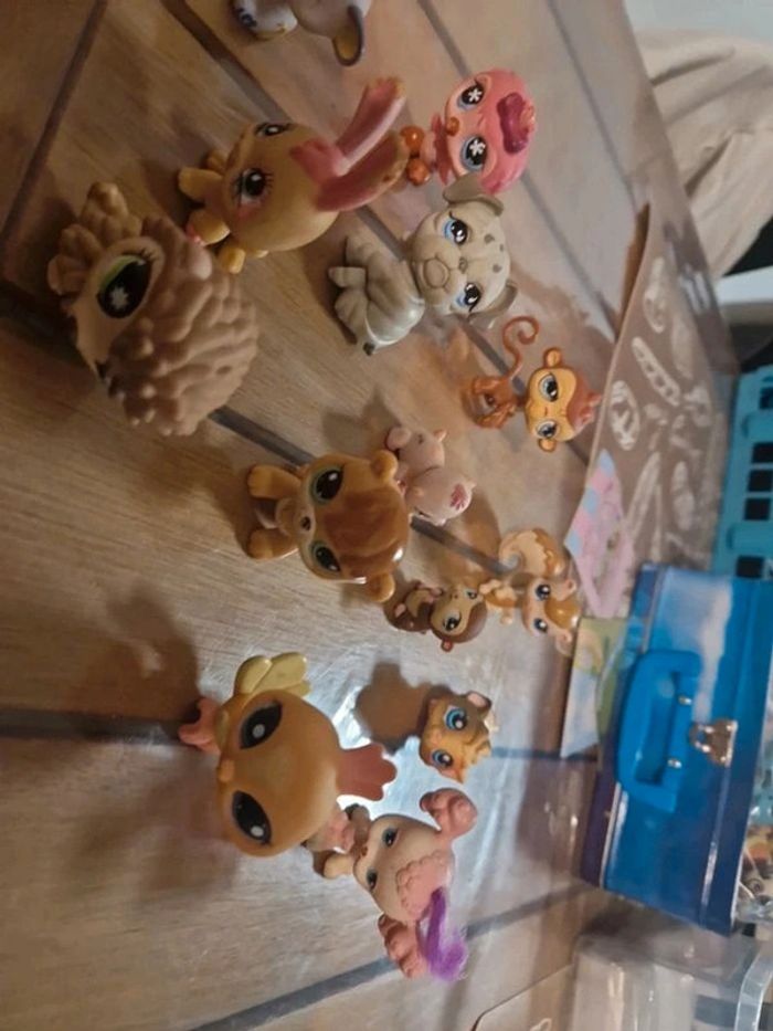 Lot petshop - photo numéro 9