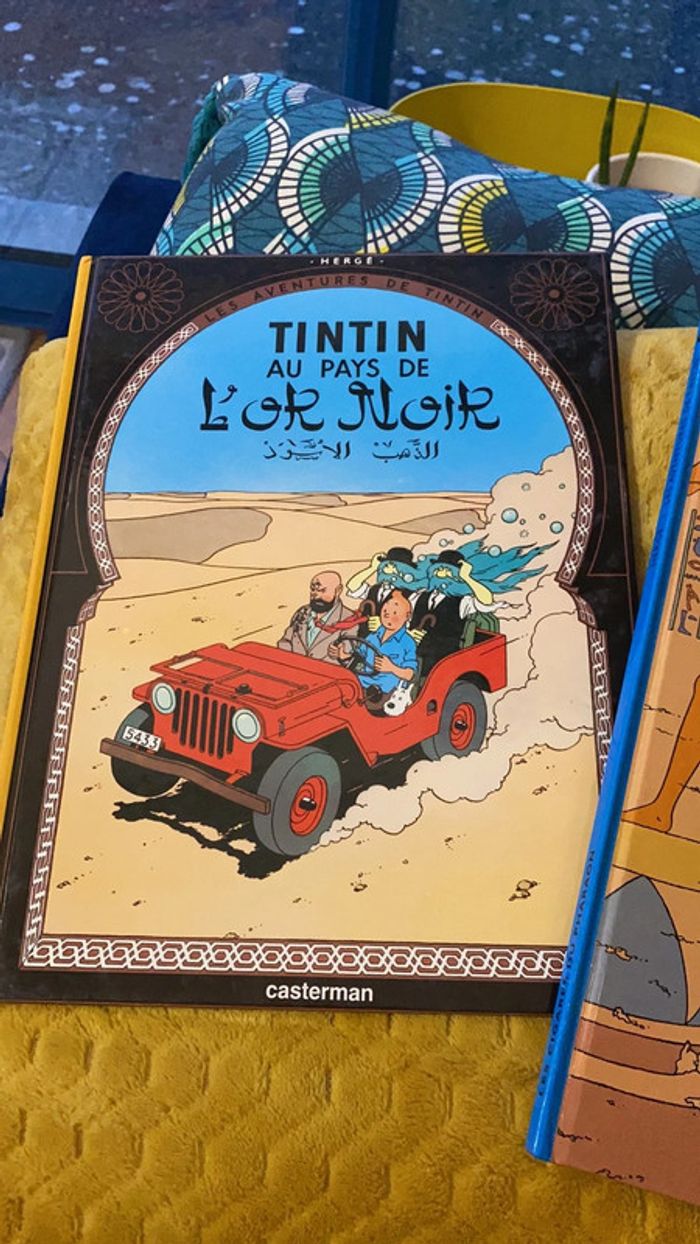Lot de livres collector tintin - photo numéro 3