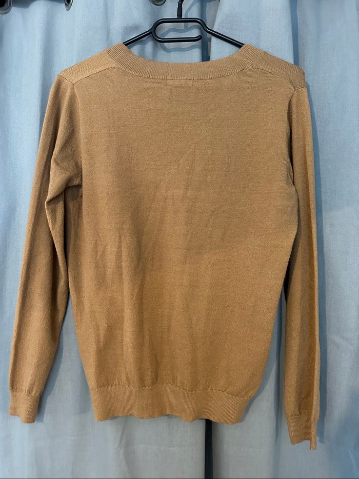 Pull camel - photo numéro 2