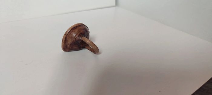 Bague montée d'une ammonite - photo numéro 5