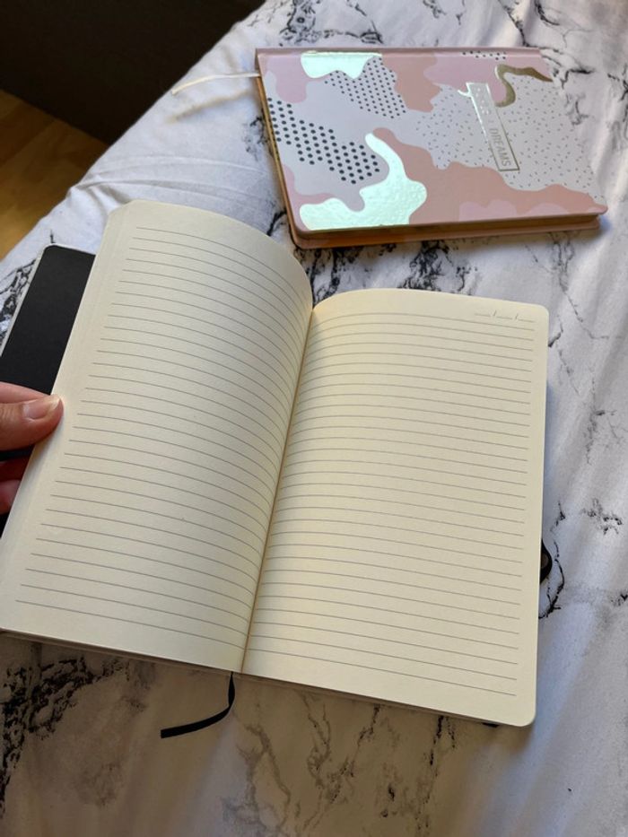 Lot de 2 petits cahier - photo numéro 5