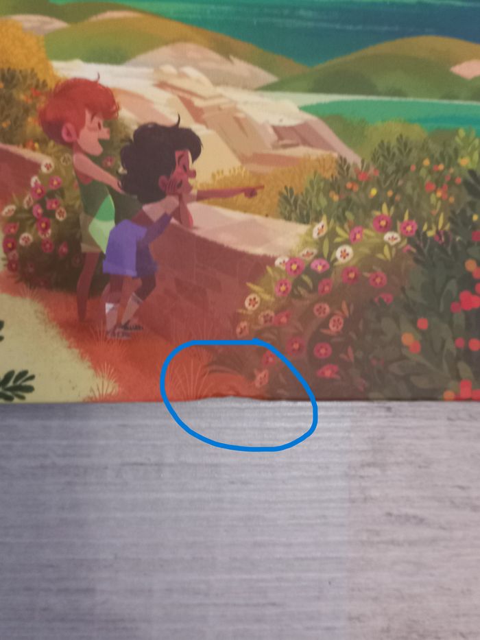 un anniversaire dans le maquis corse - photo numéro 2