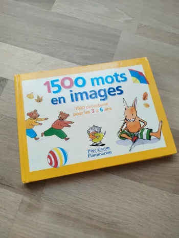 Livre 1500 mots en images