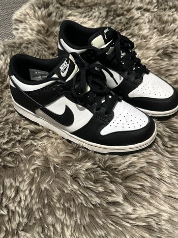Nike dunk