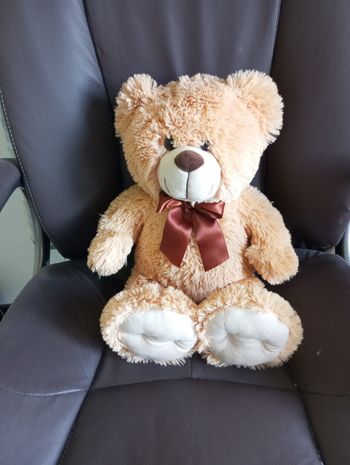 Joli nounours 
