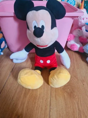 Grand Mickey