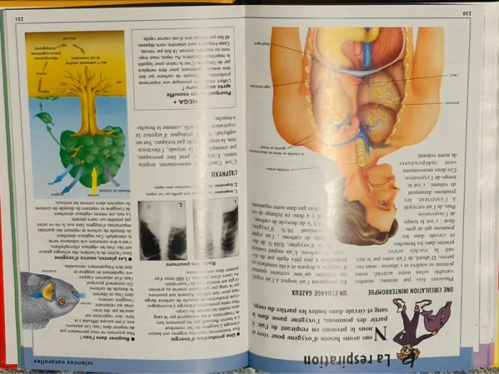 Livre encyclopédie Méga Junior - photo numéro 3
