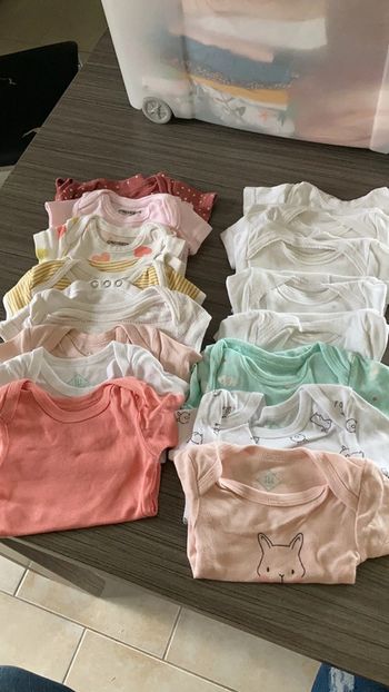 Lot 16 bodys manches courtes