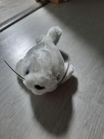 Petite peluche phoque.