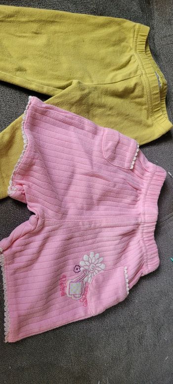 Lot 2 short