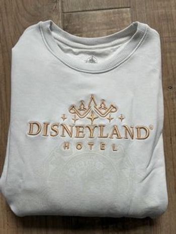 Sweat Disneyland Hôtel