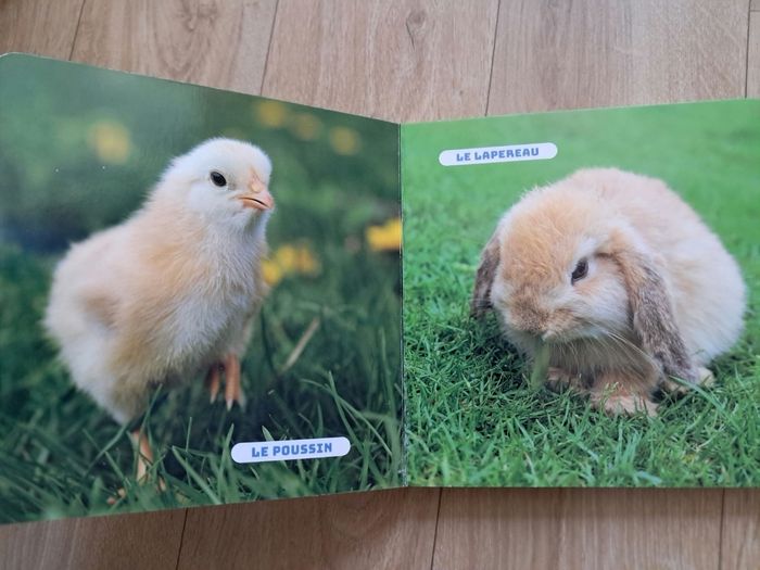 Livre cartonné bébés animaux - photo numéro 2