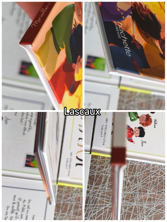 6 livres merveilles de france - photo numéro 7