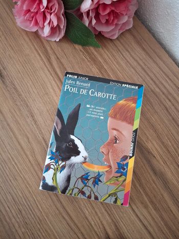 Livre: Poil de carotte