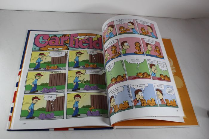 Dargaud Garfield Le King 2009 - photo numéro 5