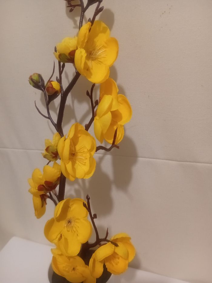 Arbuste fleurs de cerisiers - photo numéro 2