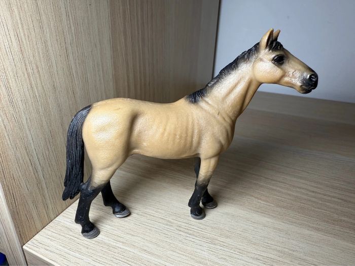 Étalon akhal teke schleich