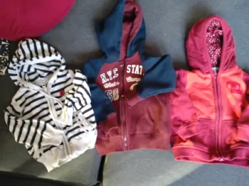 Lot gilet/ veste capuche 12 mois