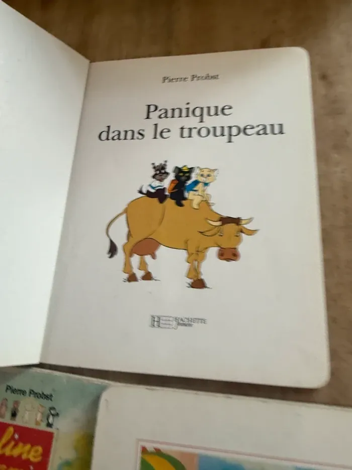 Lot de 3 livres rares Caroline et ses amis vintage Hachette Jeunesse Pierre Probst - photo numéro 7
